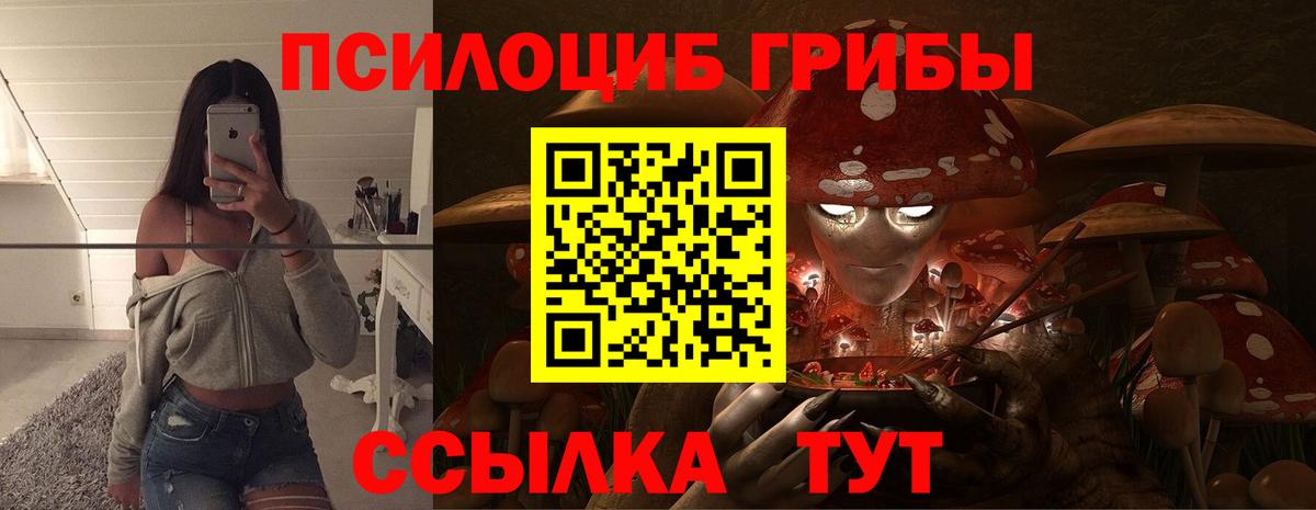 Галлюциногенные грибы ЛСД Моршанск