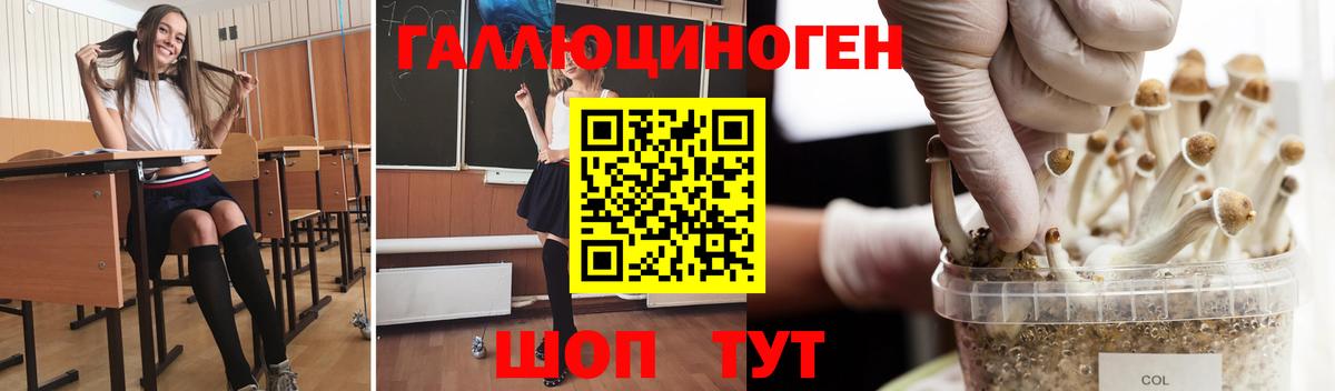 Псилоцибиновые грибы ЛСД  Галлюциногенные грибы GOLDEN TEACHER  Вход с VPN  Моршанск 